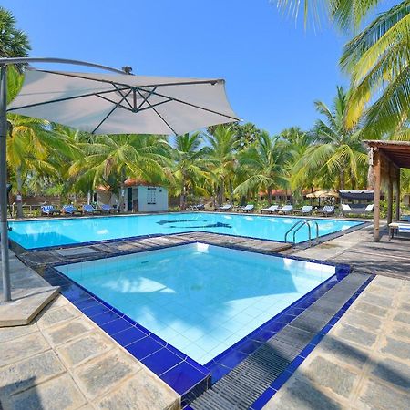 De Silva Palm Resort Калпития Экстерьер фото